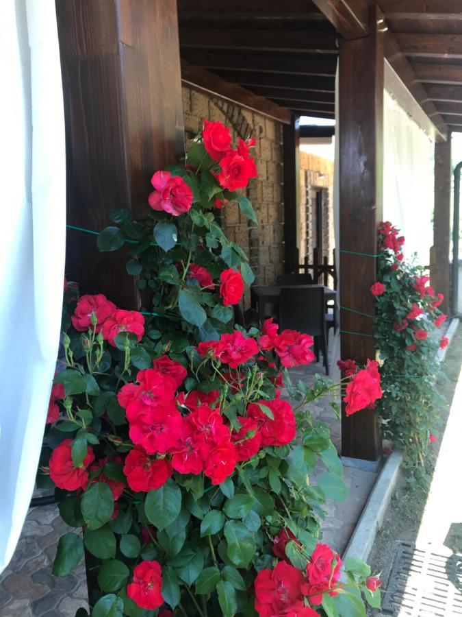 Agriturismo A Casa Di Susanna Santo Stefano del Sole ภายนอก รูปภาพ