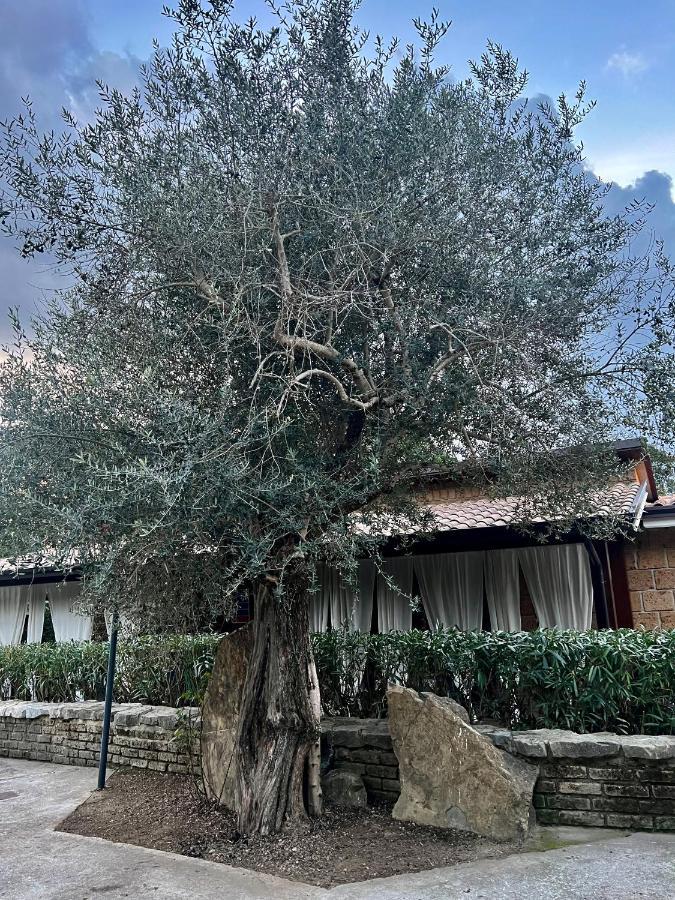 Agriturismo A Casa Di Susanna Santo Stefano del Sole ภายนอก รูปภาพ