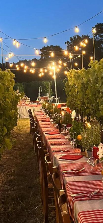 Agriturismo A Casa Di Susanna Santo Stefano del Sole ภายนอก รูปภาพ