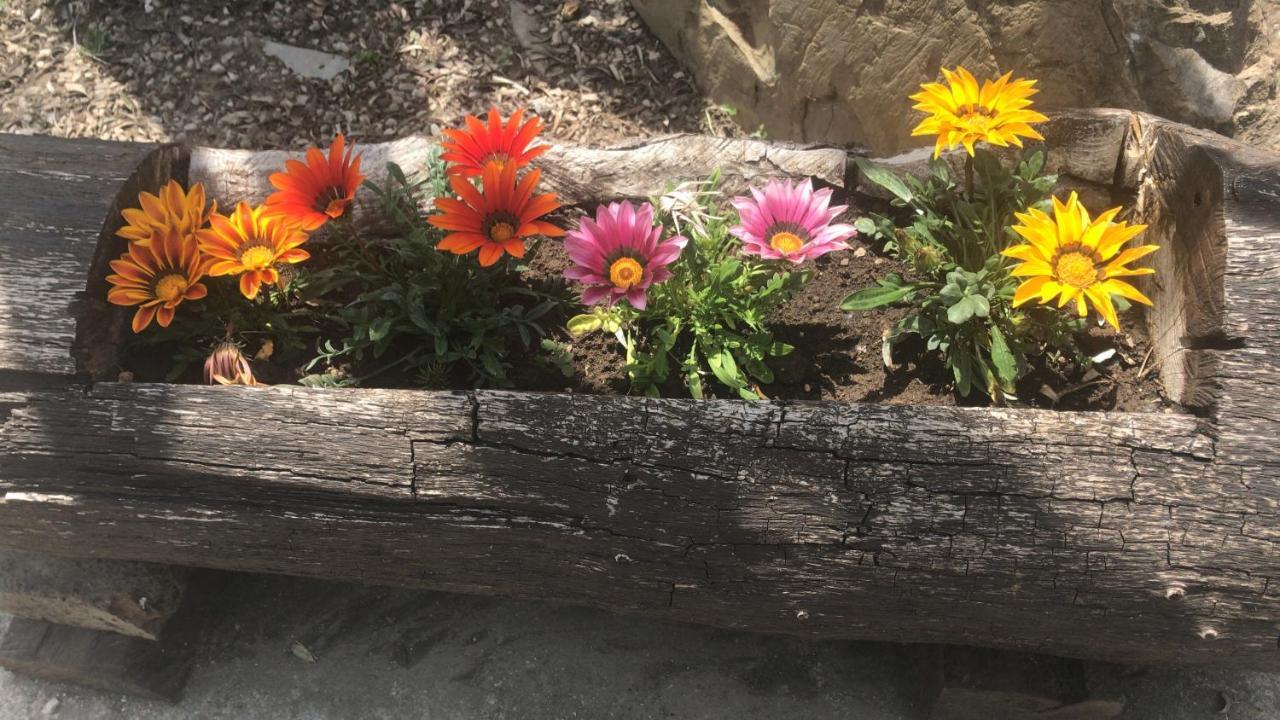 Agriturismo A Casa Di Susanna Santo Stefano del Sole ภายนอก รูปภาพ