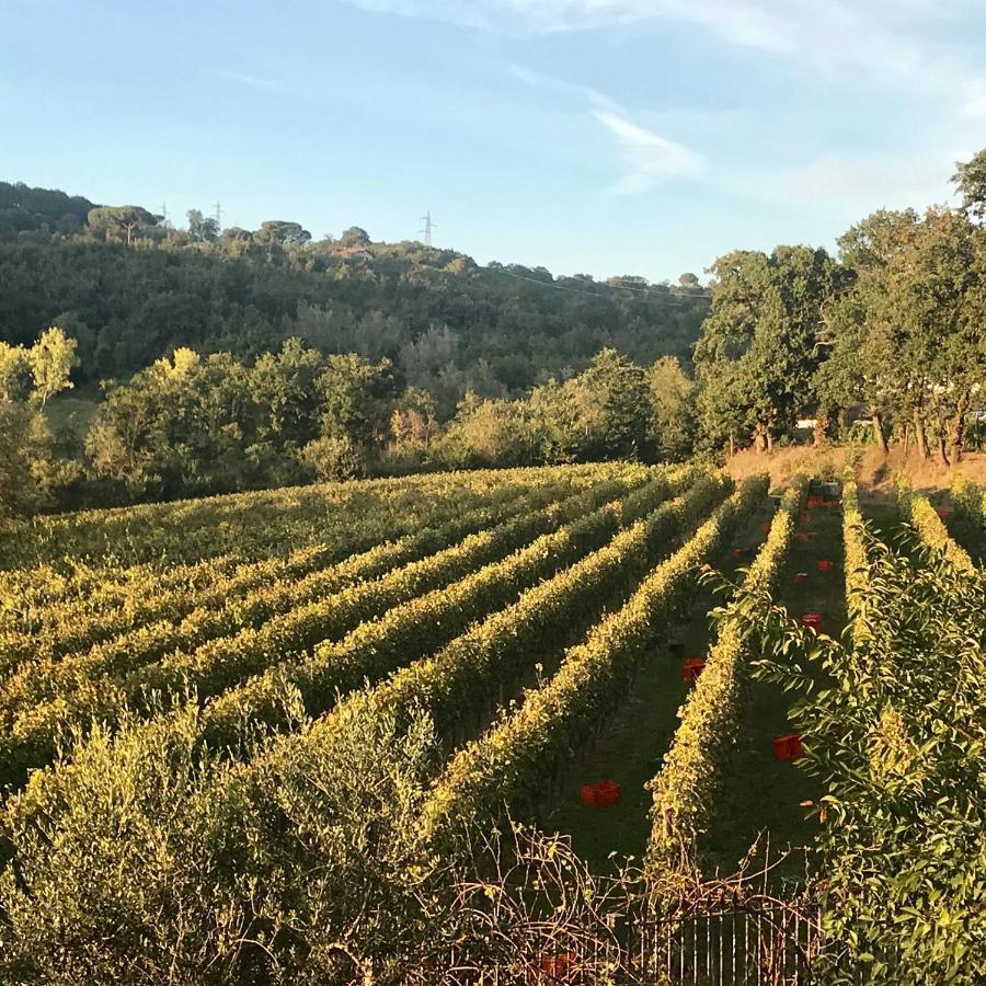 Agriturismo A Casa Di Susanna Santo Stefano del Sole ภายนอก รูปภาพ